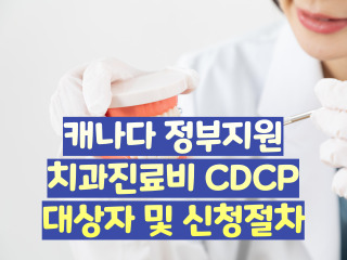 캐나다 정부지원 치과 진료비 CDCP