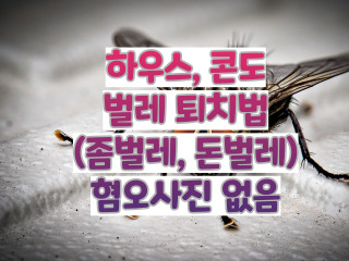 하우스, 콘도 벌레 퇴치법